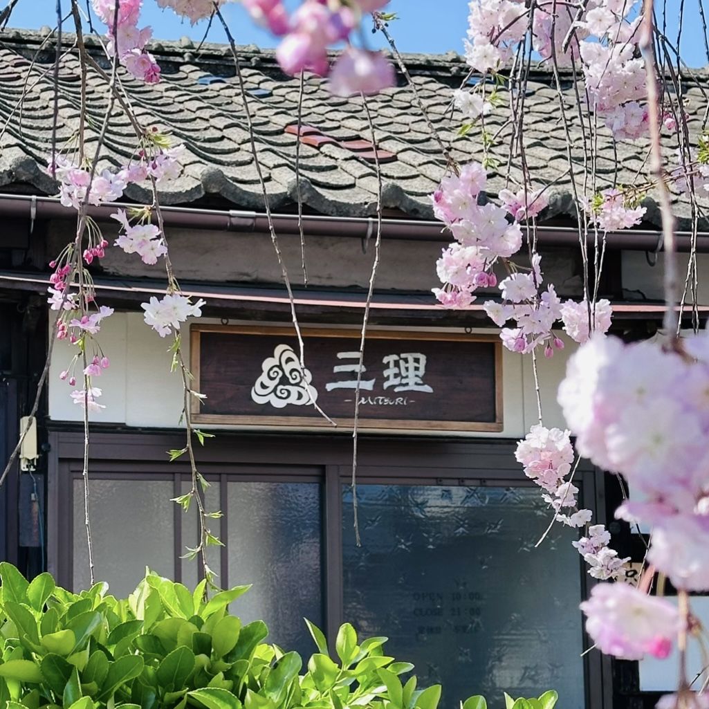 心躰調整処 三理の看板と枝垂れ桜